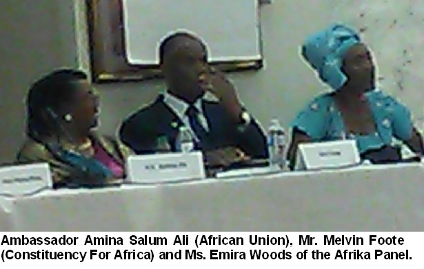 IBW Symposium Afrika Panel Oct 18 2013