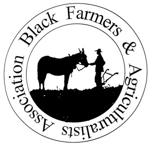 BFAA Logo 1