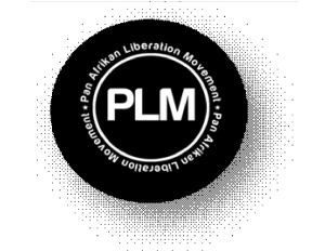 PLM Logo 1